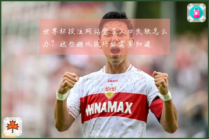世界杯投注网站登录入口失联怎么办？这些避坑技巧你需要知道