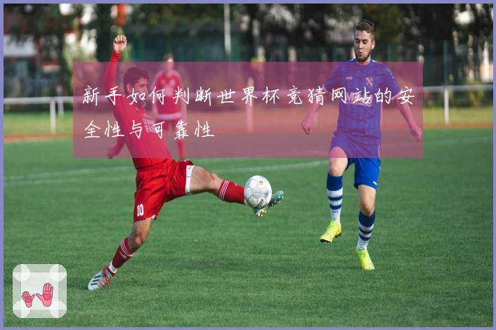 新手如何判断世界杯竞猜网站的安全性与可靠性