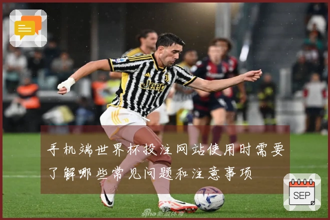 手机端世界杯投注网站使用时需要了解哪些常见问题和注意事项
