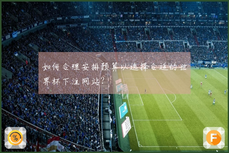 如何合理安排预算以选择合适的世界杯下注网站？