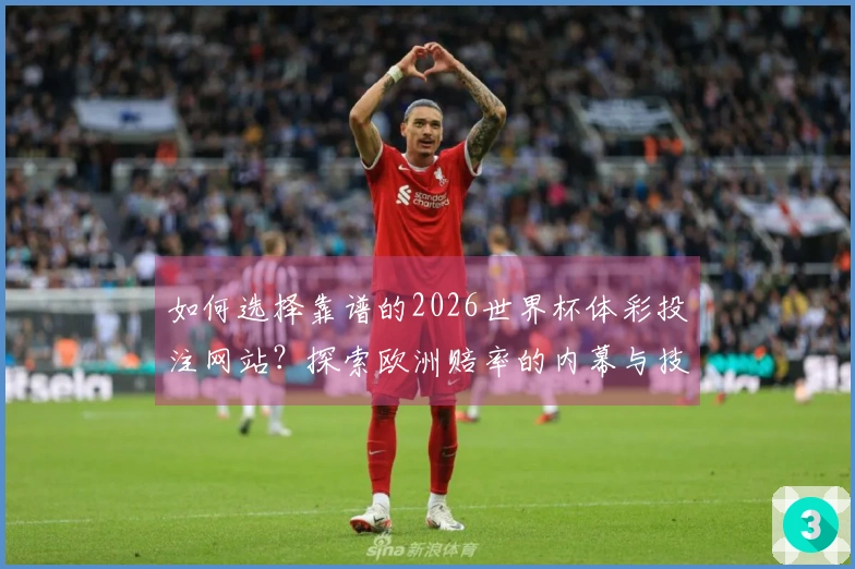 如何选择靠谱的2026世界杯体彩投注网站？探索欧洲赔率的内幕与技巧