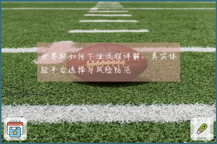 世界杯如何下注流程详解，真实体验平台选择与风险防范